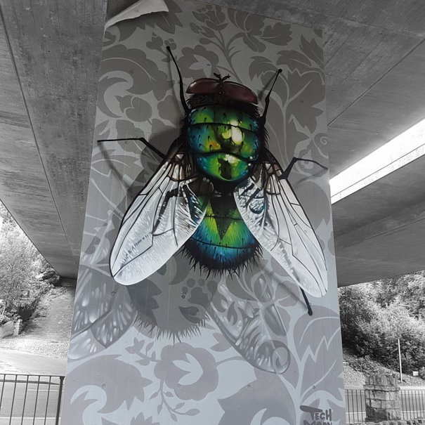 street art mural of a realistic fly painted under a motorway by tech moon for upside gallery