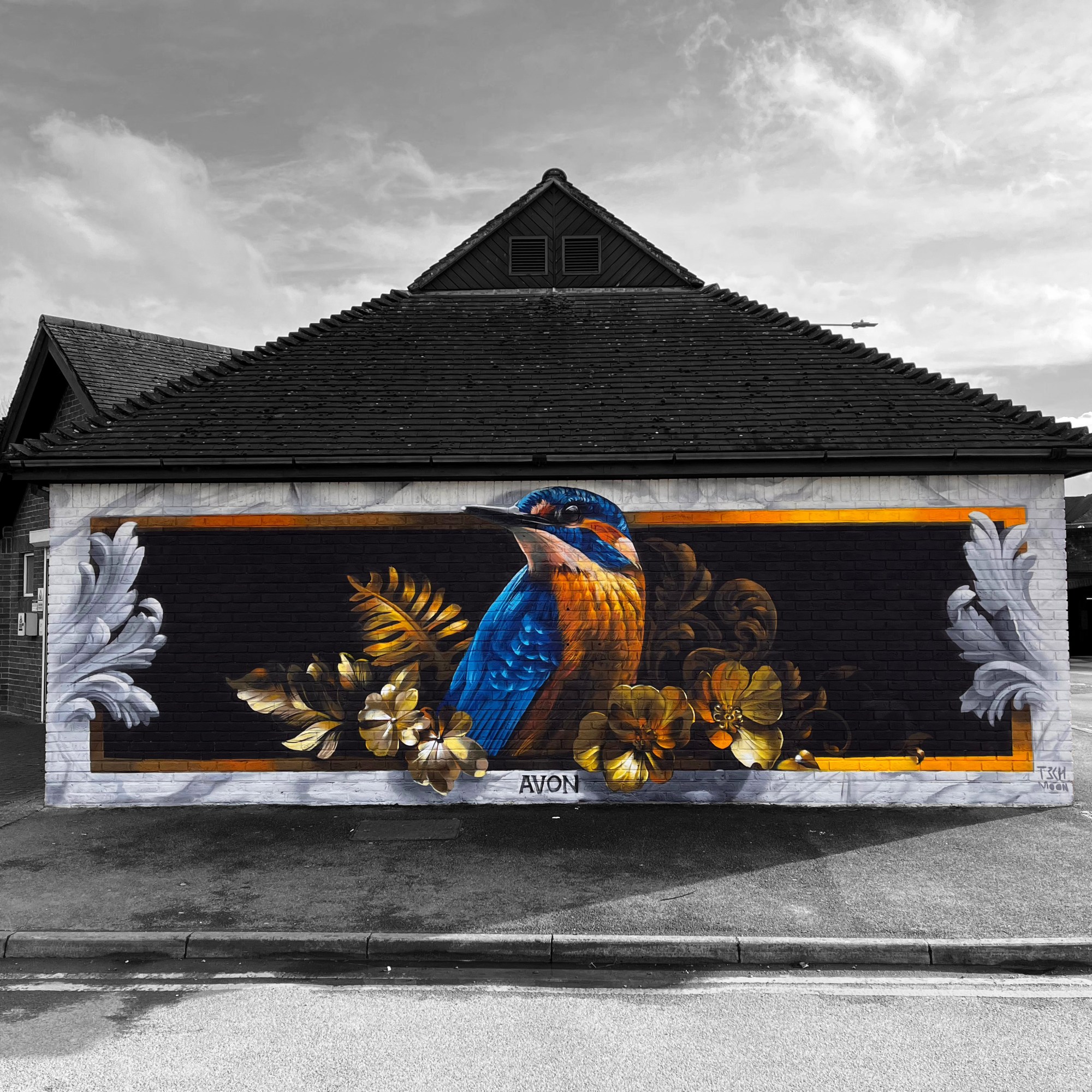 Street art mural of kingfisher in salisbury by Tech Moon
